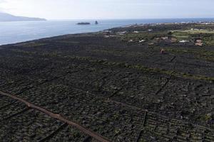 pico isola azzorre vigneto vino uva protetta di lava pietra aereo Visualizza foto