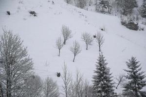 inverno paesaggio nel austriaco Alpi foto