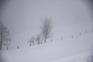 inverno paesaggio nel austriaco Alpi foto