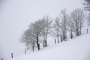 inverno paesaggio nel austriaco Alpi foto