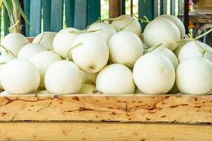 meloni cantalupo organici freschi sulla cassa di legno per la vendita su un mercato, cibo sano di frutta, spazio per il testo foto