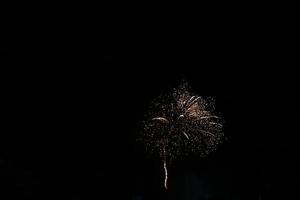 colorato fuochi d'artificio su il nero cielo foto