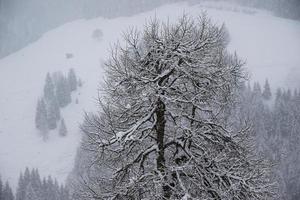 inverno paesaggio nel austriaco Alpi foto