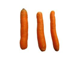 carote su sfondo bianco