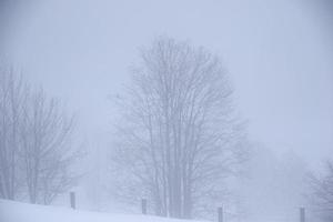 inverno paesaggio nel austriaco Alpi foto