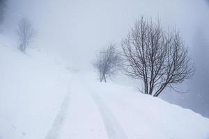 inverno paesaggio nel austriaco Alpi foto