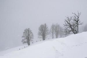 inverno paesaggio nel austriaco Alpi foto