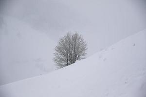 inverno paesaggio nel austriaco Alpi foto