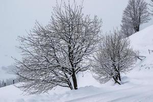 inverno paesaggio nel austriaco Alpi foto