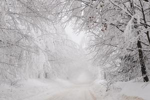 inverno nevoso strada nel montagnoso regione dopo pesante nevicata nel Romania foto