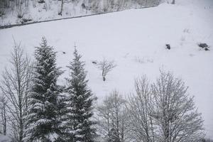 inverno paesaggio nel austriaco Alpi foto