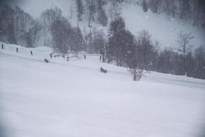 inverno paesaggio nel austriaco Alpi foto