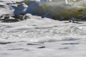 mare schiuma. spruzzo acqua foto