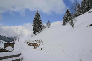 inverno paesaggio nel austriaco Alpi foto