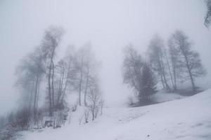 inverno paesaggio nel austriaco Alpi foto