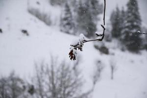 inverno paesaggio nel austriaco Alpi foto