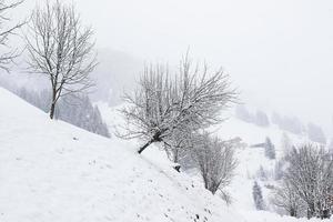 inverno paesaggio nel austriaco Alpi foto