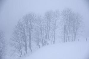 inverno paesaggio nel austriaco Alpi foto