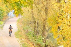 donna equitazione il bicicletta nel autunno stagione. Visualizza a partire dal il indietro foto