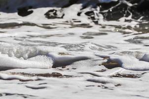 mare schiuma. spruzzo acqua foto