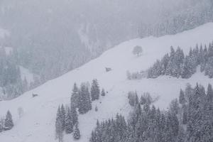 inverno paesaggio nel austriaco Alpi foto