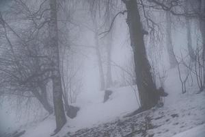 inverno paesaggio nel austriaco Alpi foto