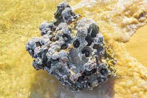 pietre rocce coralli con mare ricci blu acqua spiaggia Messico. foto