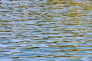 mare acqua avvicinamento foto