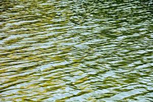 mare acqua avvicinamento foto