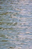 mare acqua avvicinamento foto