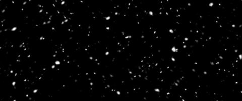 caduta neve isolato su nero sfondo. caduta neve a notte. bokeh luci su nero sfondo, volante i fiocchi di neve nel il aria. inverno tempo atmosferico. copertura struttura. foto