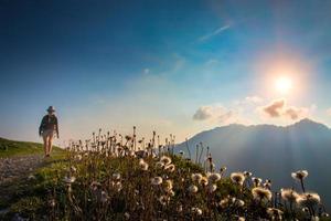 fiori nel il montagne a tramonto con un' ragazza nel il sfondo quello fa il trekking foto