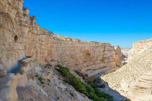 canyon nel il deserto di il Neghev, Israele foto