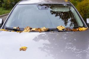 caduto giallo autunno le foglie su il parabrezza e cappuccio di il macchina, autunno fogliame, trasporto foto