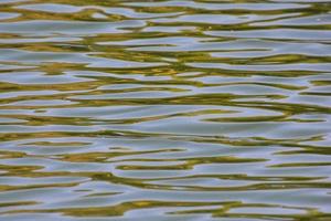 mare acqua avvicinamento foto