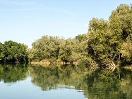 Visualizza di panoramico boschi e fiume foto