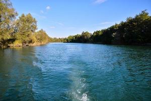 alberi di il fiume foto