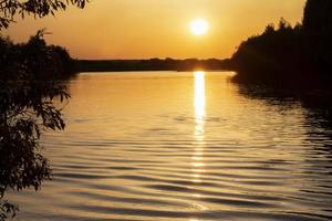 tramonto su il lago tra il alberi. foto