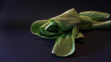 fresco bok choy verdura su nero sfondo. foto