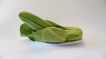 bok choy verdure su un' piatto su un' bianca sfondo. foto