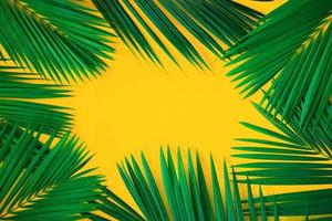 foglie di palma tropicale verde su sfondo giallo brillante. layout di natura creativa fatta di foglie. arte di concetto. concetto di estate, sfondo di foglie di palma tropicale, spazio per il testo. foto