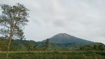 montare sommare paesaggio Visualizza foto