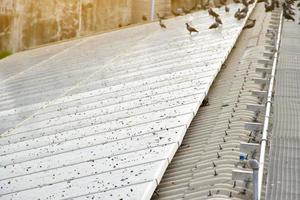 il sporcizia di superiore superficie di fotovoltaico tetto a partire dal uccelli lancio dietro, morbido messa a fuoco. foto