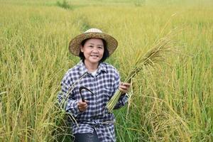 ritratto di un anziano asiatico donna contadino è Tenere un' mazzo di orecchio di riso e in piedi vicino sua riso risaia campo felicemente. salutare vita e contento vita dopo la pensione concetto. foto