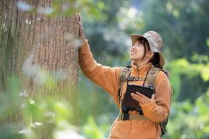giovane turista donna nel un' giallo cappotto abbracciare un' albero nel il foresta di eco amore guardare su a il Treetops giovane asiatico donna l'esame un' grande ecologico albero foto
