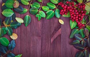 Viburnum ramo e le foglie su Marrone di legno superficie foto