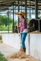 ritratto di contento giovane asiatico contadino donna radicale pavimento a mucca azienda agricola. agricoltura industria, agricoltura, le persone, tecnologia e animale allevamento concetto. foto