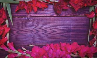 rosso galadiolo su un' Marrone di legno sfondo foto