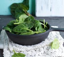 fresco verde spinaci nel un' il giro ghisa frittura padella foto
