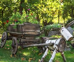 vecchio di legno carrello con fiori nel il parco foto